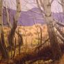 Taos Cottonwoods 